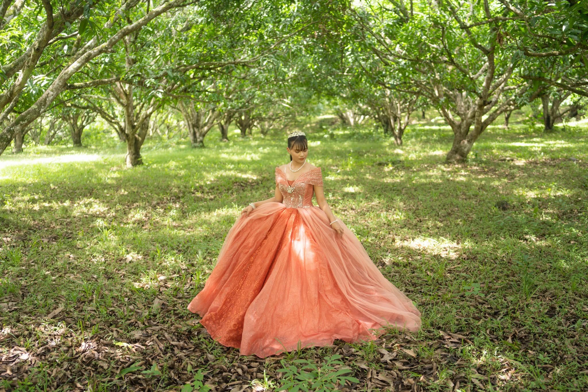 Peach Ball Gown 